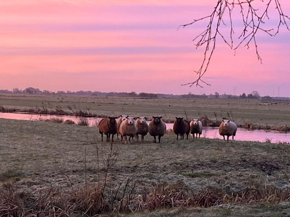 De Beijersche Stee , Landhuysje Villa Stolwijk Eksteriør billede